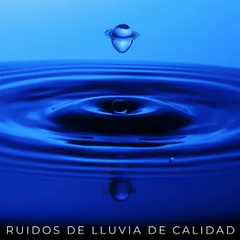 Ruidos De Lluvia De Calidad by HD lluvia y agua