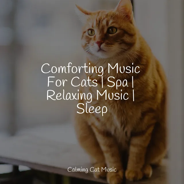 Comforting Music For Cats | Spa | Relaxing Music | Sleep