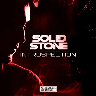 Introspection by Solid Stone