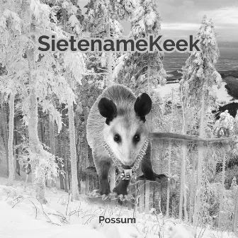 Possum by SieteNameKeek