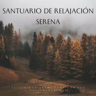 Santuario De Relajación Serena: Lluvia Ambiental Para Una Paz Rejuvenecedora by Colección de Sonidos de Lluvia Naturales