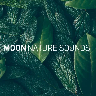 Zen Oceano (8D Audio) by Luna Sonidos de la Naturaleza