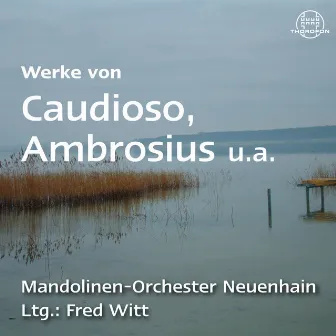 Mandolinen-Orchester Neuenhain by Fred Witt