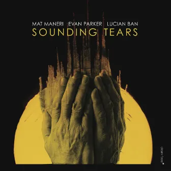 Sounding Tears by Lucian Ban