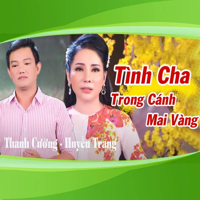 Tình Cha Trong Cánh Mai Vàng