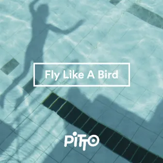 Fly Like A Bird by Pitto