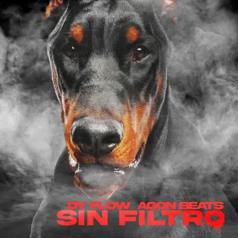 Sin Filtro by Dy Flow