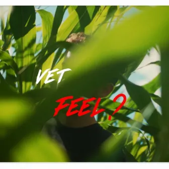 Feel? by VET.