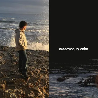 Dreaming in Color by Ben Lepper