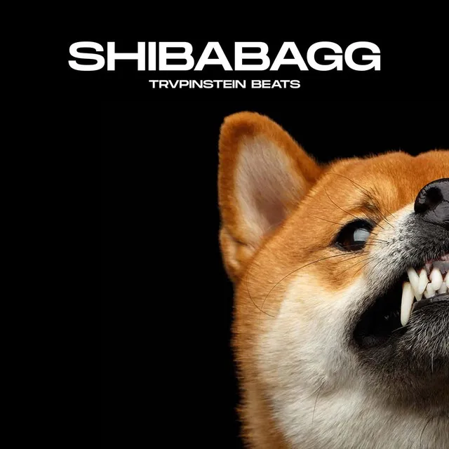 Shibabagg