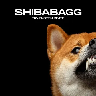 Shibabagg by Trvpinstein Beats