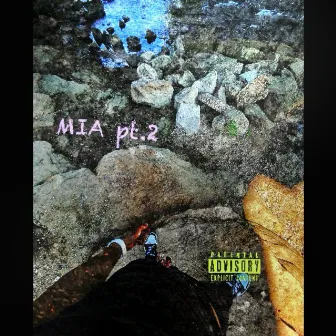 MIA Pt. 2 by BTG Wavey