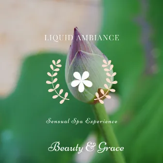 Sensual Spa Experience by Liquid Ambiance