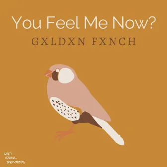 You Feel Me Now by Gxldxn Fxnch