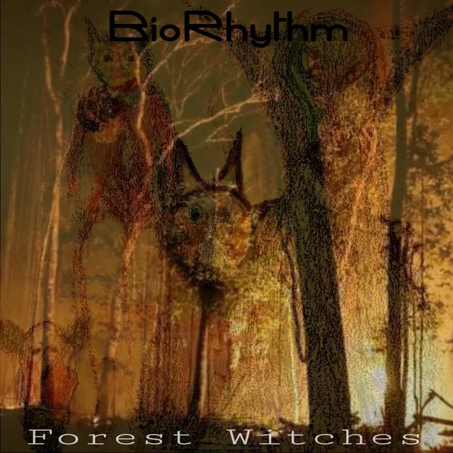 Forest Witches