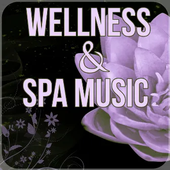 Wellness & Spa Music - Soothing Music, Mindfulness Meditation Spiritual Healing, Peaceful Music by Paradise Spa Music Academy