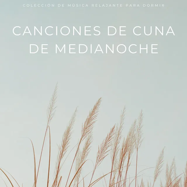 Canciones De Cuna De Medianoche: Colección De Música Relajante Para Dormir