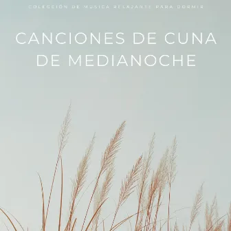 Canciones De Cuna De Medianoche: Colección De Música Relajante Para Dormir by Canciones de cuna para dormir profundamente