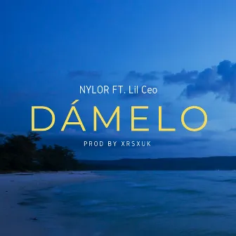 Dámelo by NYLOR