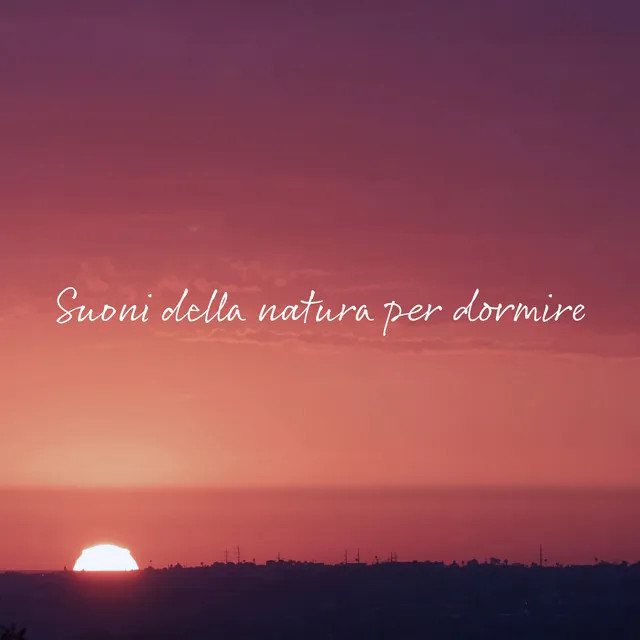 Suoni della natura per dormire (Suoni di oceano, uccelli, pioggia e vento)