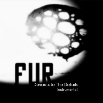 Devastate the Details Instrumental by Fur