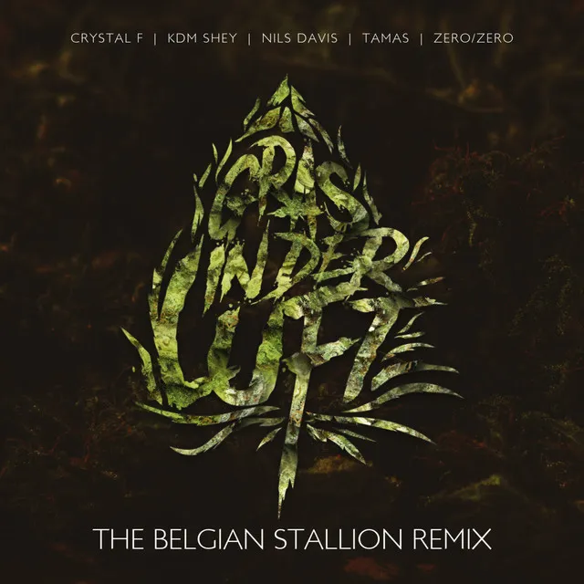 Gras in der Luft - The Belgian Stallion Remix