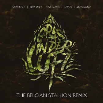 Gras in der Luft (The Belgian Stallion Remix) by KDM Shey