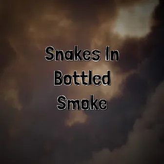 Snakes In Bottled Smoke by 9INE LIVES