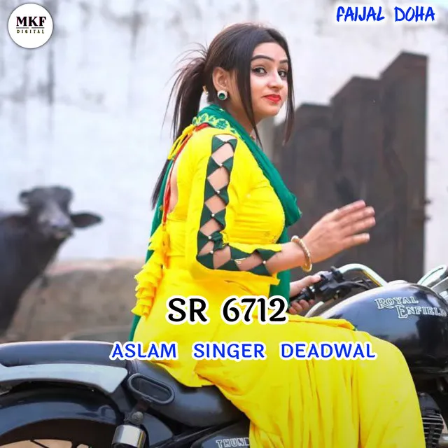 Aslam Singer SR 6712