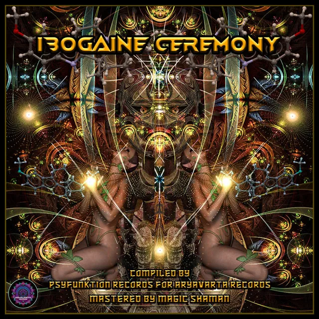 VA IBOGAINE CEREMONY COMPILED BY PSYFUNKTION RECORDS