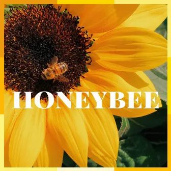 Honeybee by Gabe Griffin