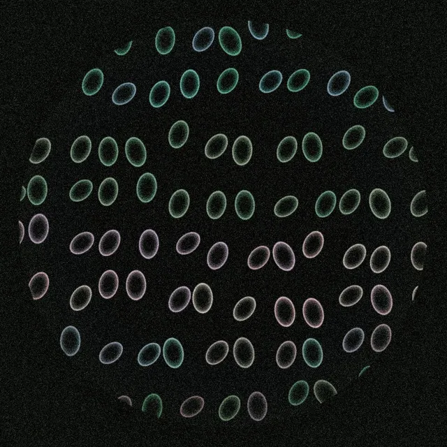 Unidentified Array Data Sorting Protocol