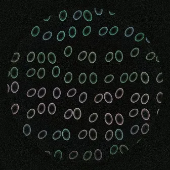 Unidentified Array Data Sorting Protocol by Shadow Recruit