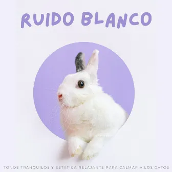 Ruido Blanco: Tonos Tranquilos Y Estática Relajante Para Calmar A Los Gatos by Android de ruido blanco