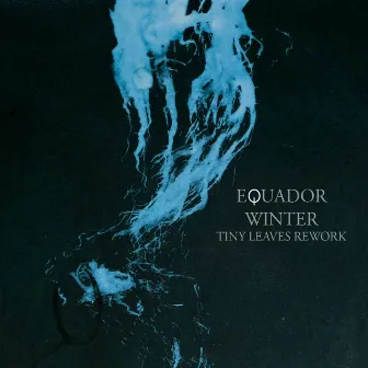 Winter by Equador