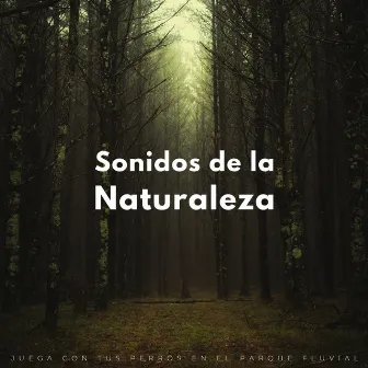 Sonidos De La Naturaleza: Juega Con Tus Perros En El Parque Fluvial by Sonidos de río