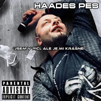 Jsem v pí** ale je mi krásně by Haades