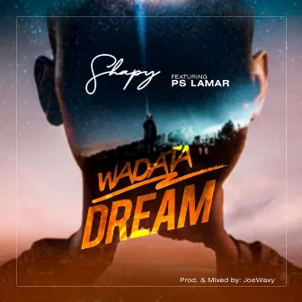 Wadata Dream by Shapy