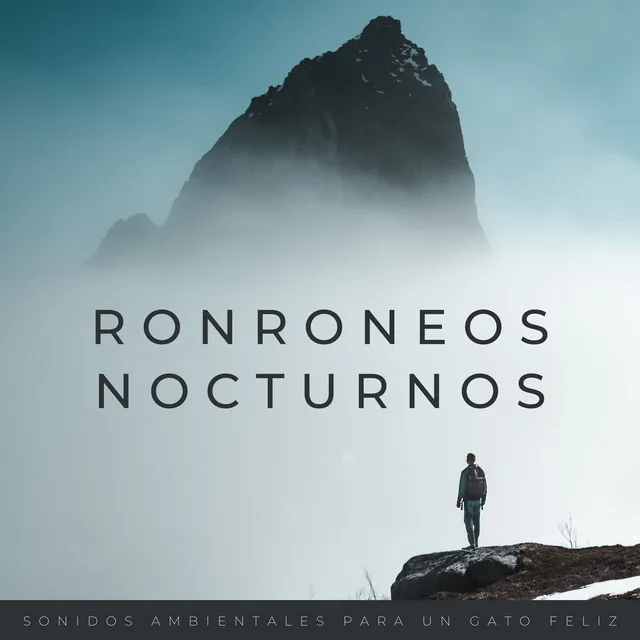 Ronroneos Nocturnos: Sonidos Ambientales Para Un Gato Feliz