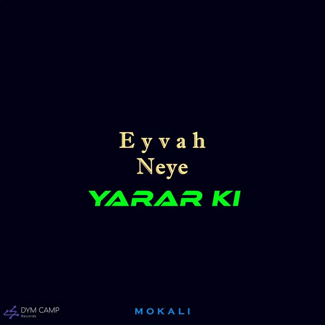 Eyvah Neye Yarar Ki - Slowed