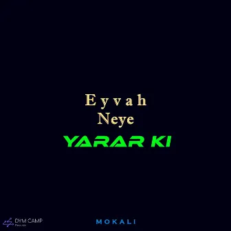 Eyvah Neye Yarar Ki (Slowed) by Mokali