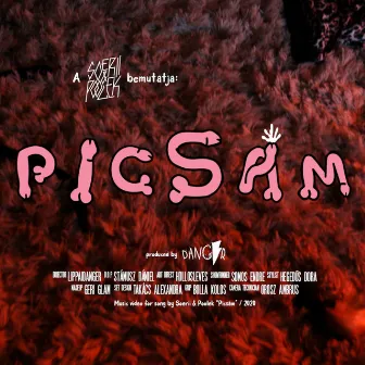 Picsám by Soerii & Poolek