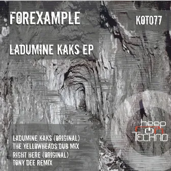 Ladumine Kaks EP by Forexample