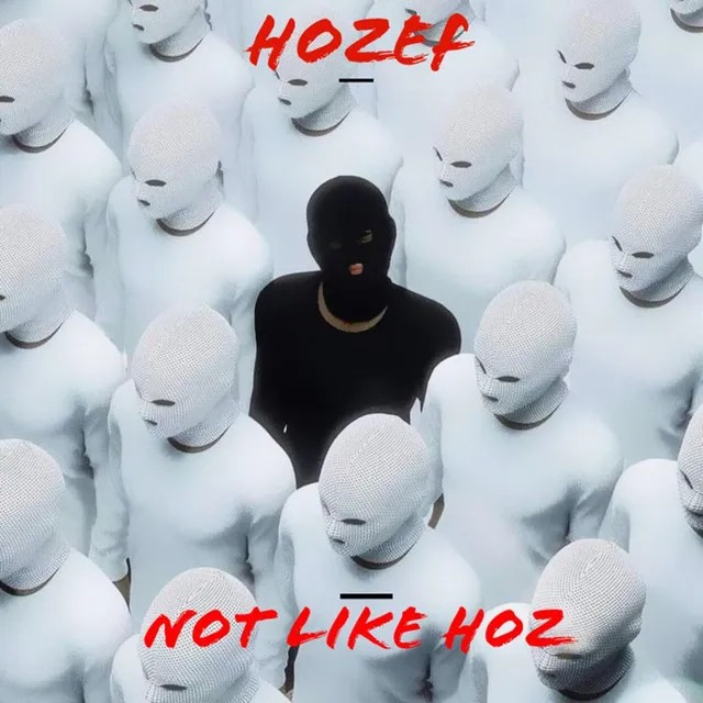 Not Like Hoz