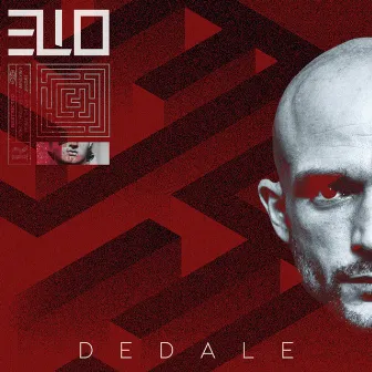 Dedale by ELIO