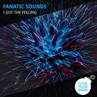 I Got the Feeling by Fanatic Sounds