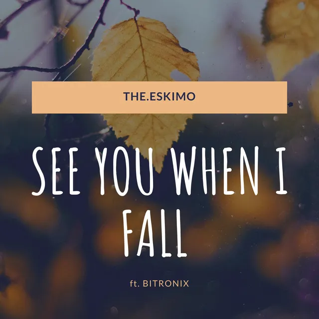 SEE YOU WHEN I FALL - Radio Edit