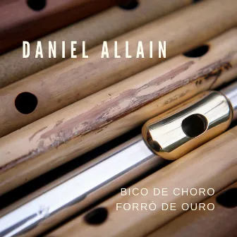 Bico de Choro, Forró de Ouro by Daniel Allain