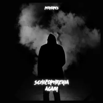 Schizophrenia Again by Perhopes