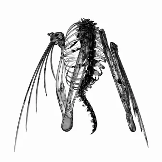 Heterocetera by Lotic